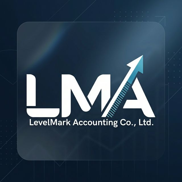 Anteprima visiva del progetto LevelMark Accounting